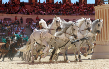 Camping Puy du Fou - 30 - campings